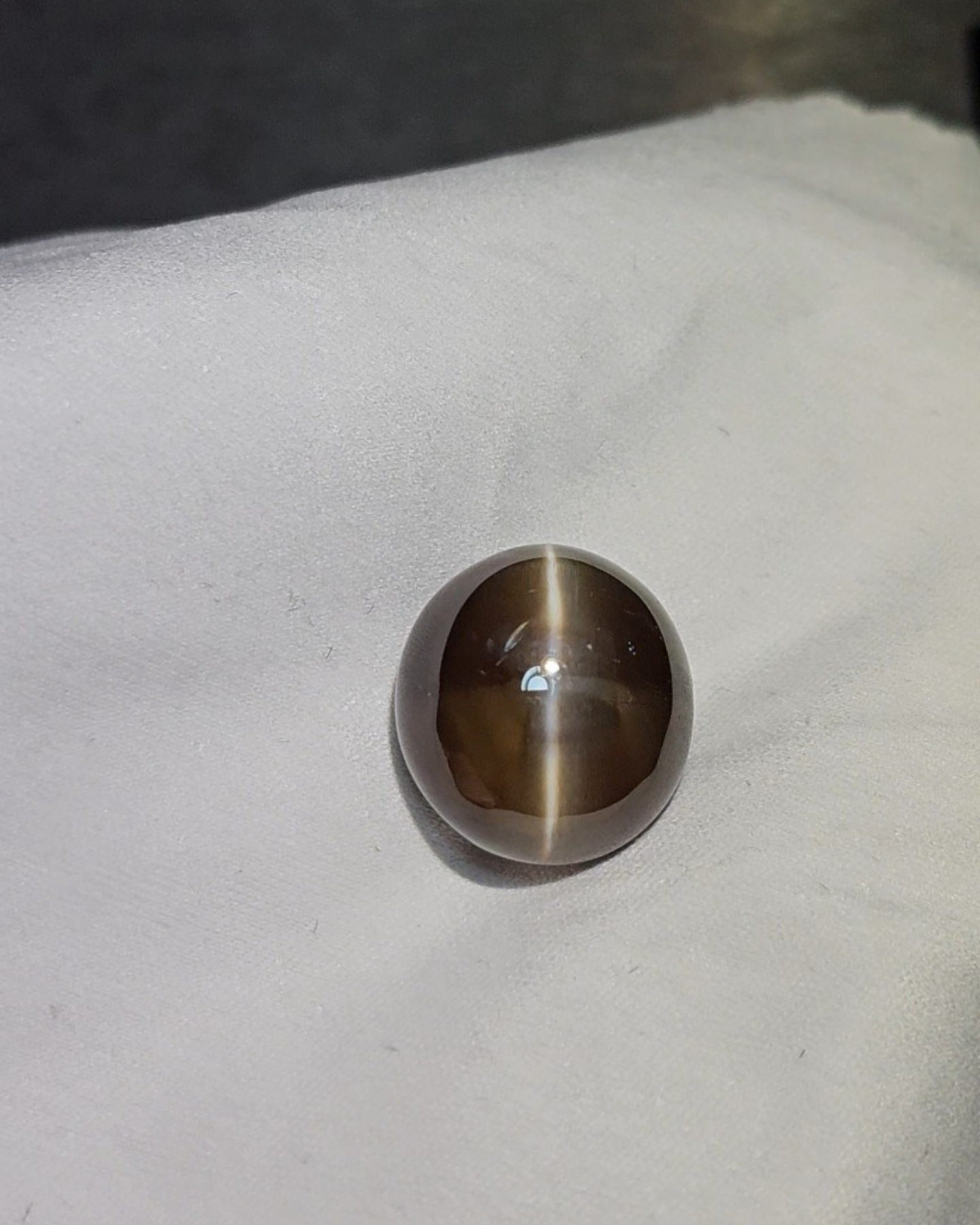 天然無燒金綠寶石貓眼（棕色）正面實拍